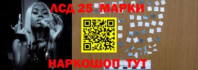 гидропоника Будённовск