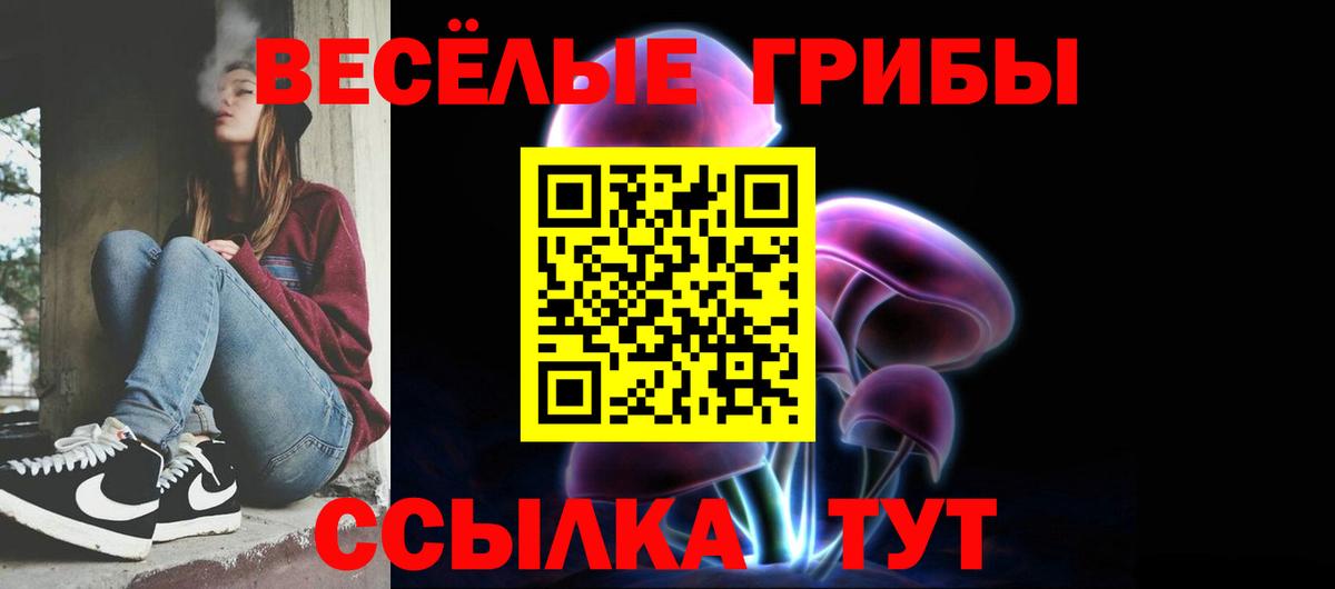 Галлюциногенные грибы прущие грибы  сколько стоит  Вход с VPN  Шахты  Галлюциногенные грибы MAGIC MUSHROOMS 